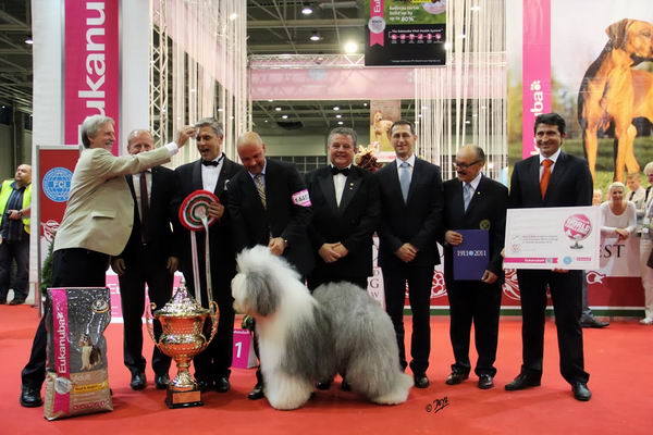 World Dog Show 2013