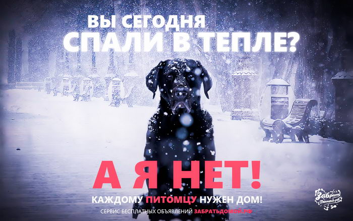 Животные тоже лябят жить!