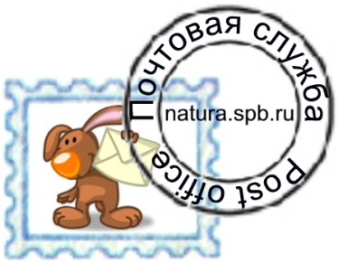 Новый сервис на сайте - электронные поздравительные открытки