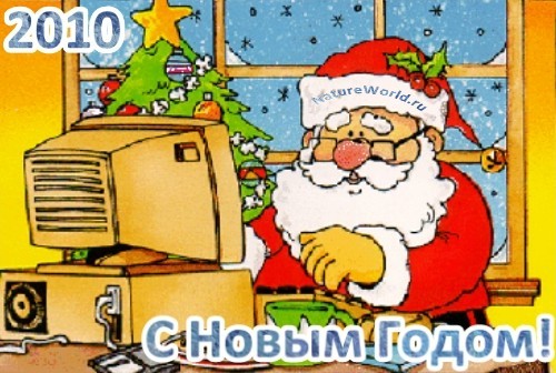 С Новым Тигровым Годом!